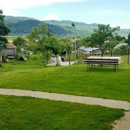 Pensiunea Adeluta Apartament Călimăneşti Kültér fotó