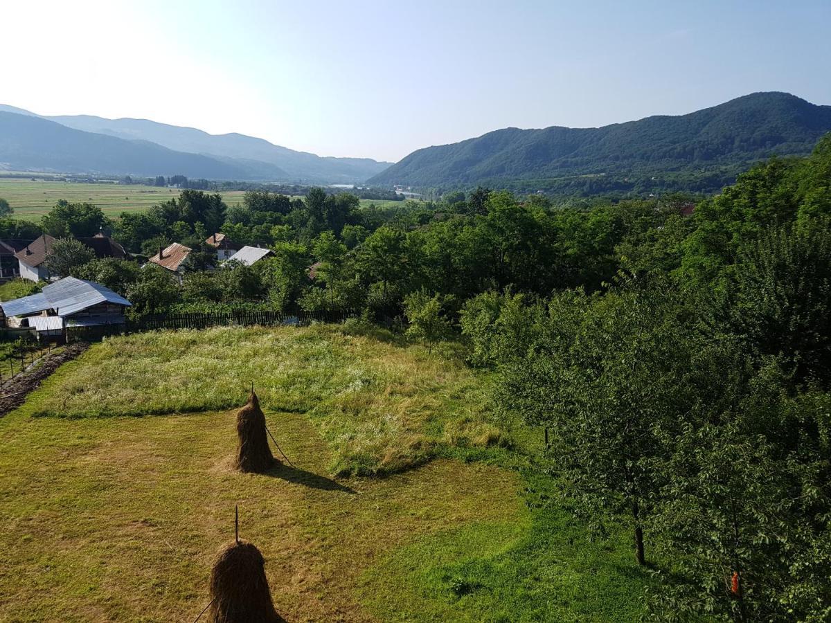Pensiunea Adeluta Apartament Călimăneşti Kültér fotó